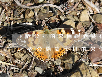 老公打的欠條跟老婆有關(guān)系嗎(老公給妻子打的欠條,,有法律責(zé)任嗎)