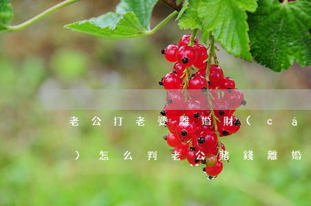 老公打老婆離婚財(cái)產(chǎn)怎么判(老公賭錢離婚打官司,財(cái)產(chǎn)怎么分)