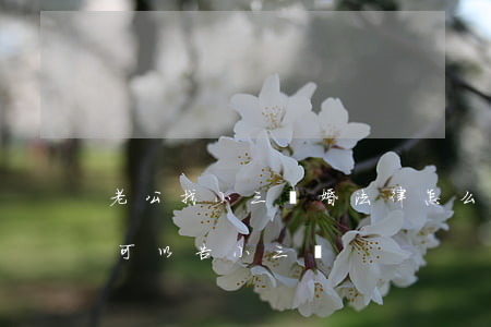 老公找小三離婚法律怎么判決(老公出軌離婚可以告小三嗎)