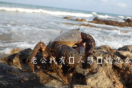 老公找有錢人想離婚怎么辦