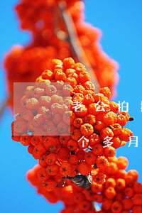 老公拍拍贷逾期会上门吗 拍拍贷逾期还款一个多月会上门催款么?