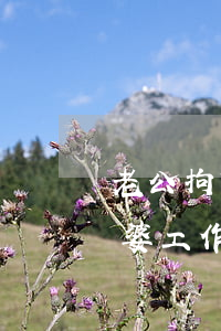 老公拘留對老婆工作會開除嗎(老公拘留對老婆工作會開除嗎)