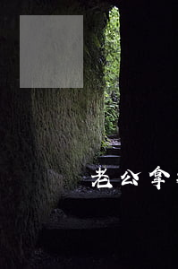 老公拿拖鞋打老婆可以起訴離婚嗎