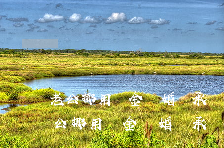 老公挪用資金離婚該承擔(dān)什么(老公挪用資金離婚該承擔(dān)什么)