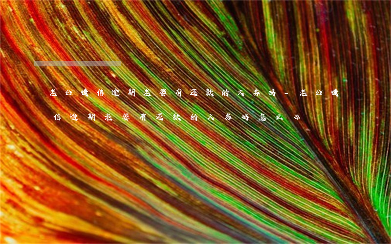 老公捷信逾期老婆有还款的义务吗-老公捷信逾期老婆有还款的义务吗怎么办