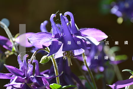 老公提出離婚女人該繼續(xù)糾纏嗎(離婚后女方一直糾纏)