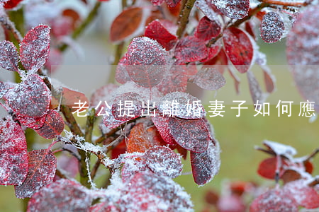 老公提出離婚妻子如何應對