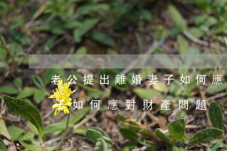 老公提出離婚妻子如何應對,老公提出離婚妻子如何應對財產問題 老公提出離婚妻子如何應對,老公提出離婚妻子如何應對財產問題