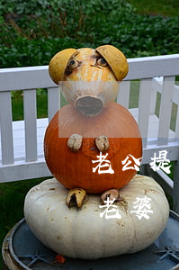 老公提出離婚我該怎么做才正確(老公提離婚老婆應(yīng)該怎么做)