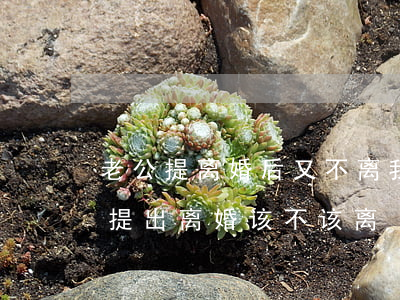 老公提离婚后又不离我要不要拒绝(老公多次提出离婚该不该离)