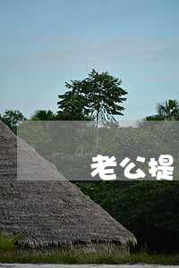 老公提離婚背后的想法