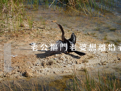 老公摳門老婆想離婚(老公越來越摳門怎么辦)