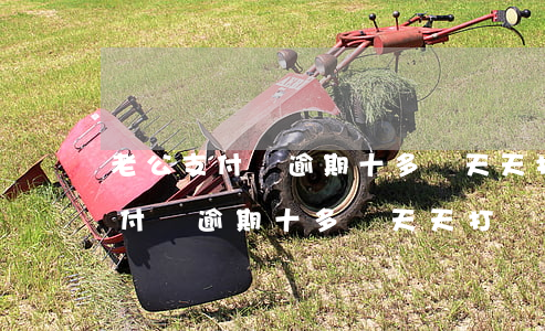 老公支付寶逾期十多萬天天打電話-老公支付寶逾期十多萬天天打電話怎么辦