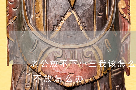 老公放不下小三我该怎么办(小三纠缠我老公不放怎么办)