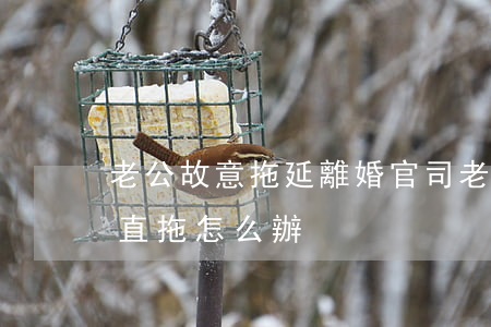 老公故意拖延離婚官司(老公同意離婚但是一直拖怎么辦)