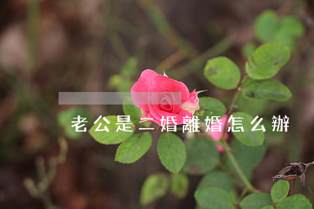 老公是二婚離婚怎么辦
