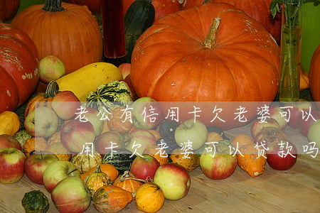 老公有信用卡欠老婆可以贷款吗-老公有信用卡欠老婆可以贷款吗知乎