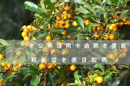 老公有信用卡逾期老婆能貸款嗎(我信用卡逾期影響老婆貸款嗎)
