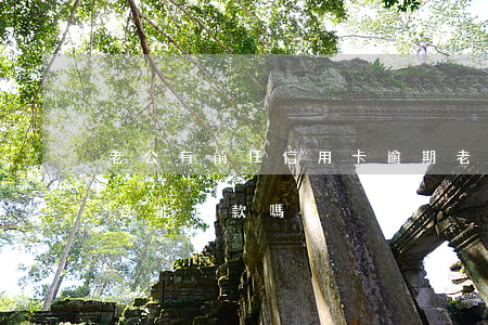 老公有前任信用卡逾期(老公有信用卡逾期老婆能貸款嗎)