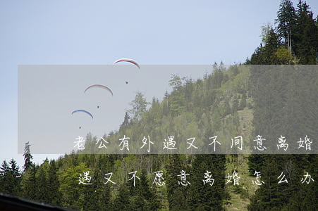 老公有外遇又不同意离婚我怎么办(老公有外遇又不愿意离婚怎么办)