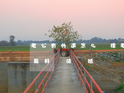 老公有外遇怎么處理(老公有外遇怎么處理是最好辦法離婚)