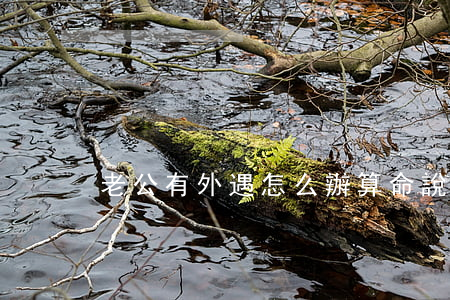 老公有外遇怎么辦(算命說老公有外遇怎么辦)