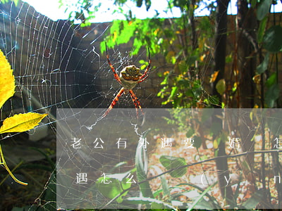 老公有外遇要離婚該怎么辦(老婆在外面有外遇怎么辦,應(yīng)該離婚嗎)