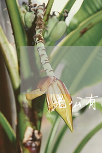 老公有小三了咋辦(如何處理有老公的小三)