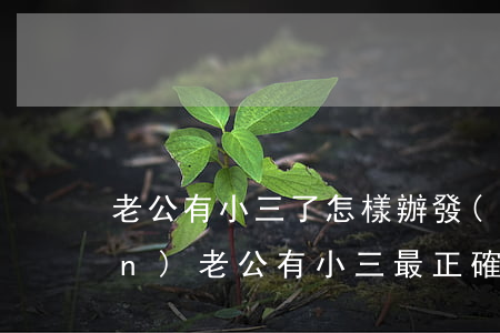 老公有小三了怎樣辦(發(fā)現(xiàn)老公有小三最正確的處理方法)