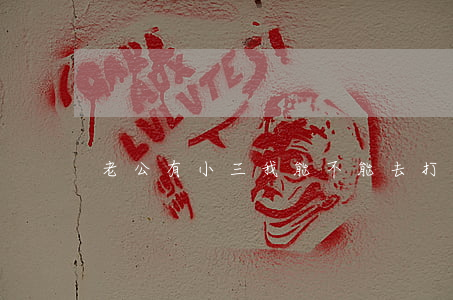老公有小三我能不能去打