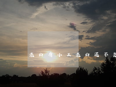 老公有小三老公还不想离婚该怎么办