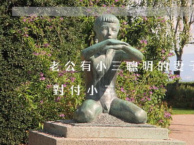 老公有小三 聰明的妻子怎么做(聰明妻子怎么對付小三)