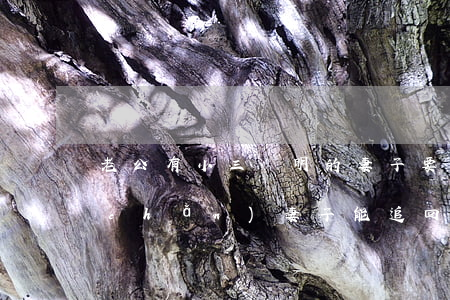 老公有小三 聰明的妻子要財(cái)產(chǎn)(妻子能追回給小三的財(cái)產(chǎn)嗎)