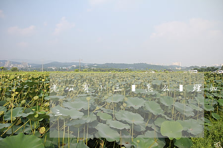 老公有小三該怎么處理(如何處理有老公的小三)