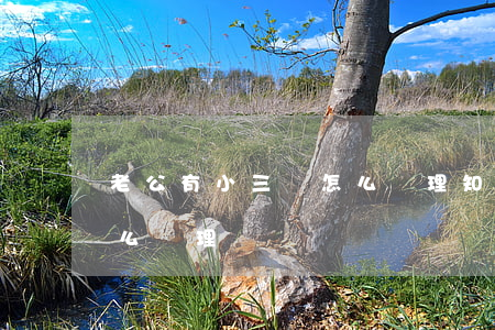 老公有小三該怎么處理(知道老公有小三該怎么處理)