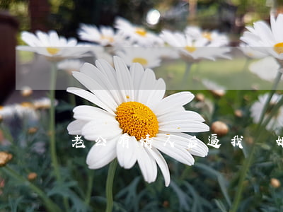 老公有情人后逼我離婚改怎么辦