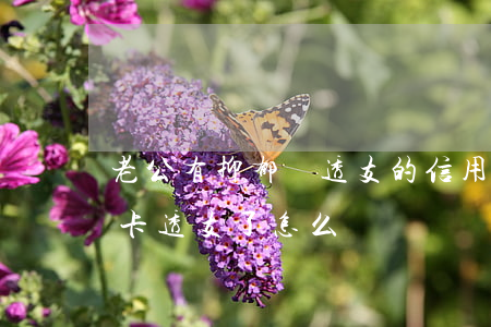 老公有抑郁癥透支的信用卡(老公把我的信用卡透支了怎么辦)