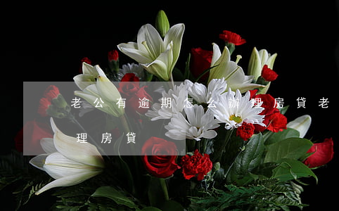 老公有逾期怎么辦理房貸(老公有逾期怎么辦理房貸)