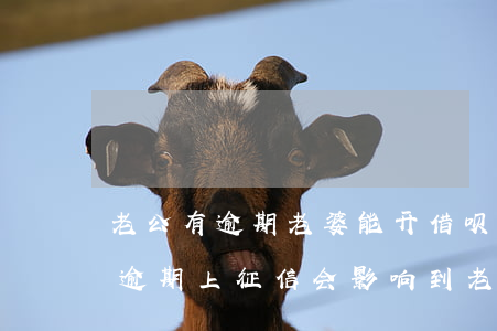 老公有逾期老婆能开借呗吗(老公的花呗借呗逾期上征信,会影响到老婆吗?)