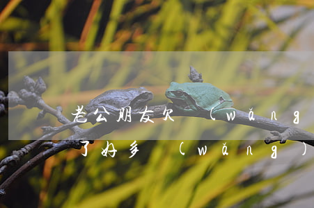 老公朋友欠網(wǎng)貸(老公瞞著我欠了好多網(wǎng)貸)