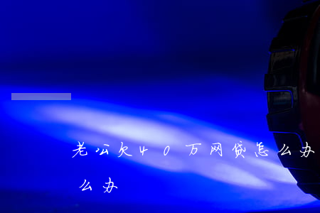 老公欠40万网贷怎么办(网贷欠款40万怎么办)