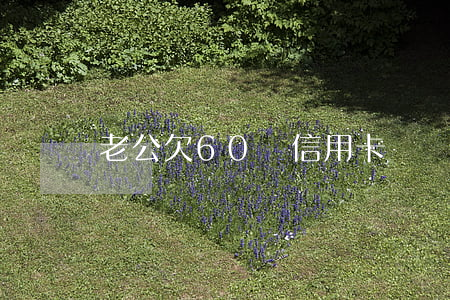 老公欠60萬信用卡