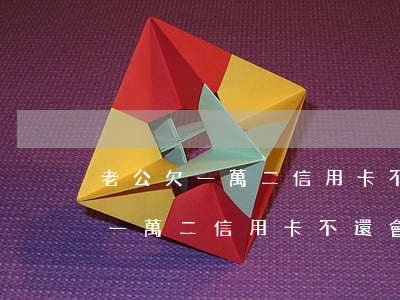 老公欠一萬二信用卡不還會怎么樣-老公欠一萬二信用卡不還會怎么樣呢