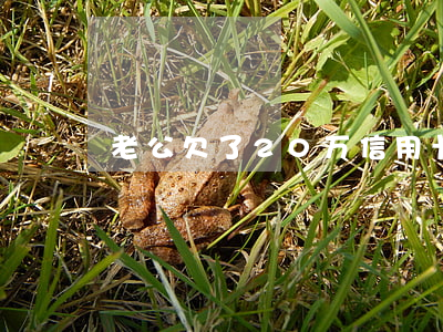 老公欠了20万信用卡还得清吗-