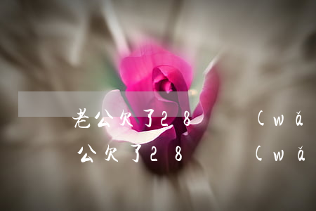 老公欠了28萬網(wǎng)貸怎么辦(老公欠了28萬網(wǎng)貸怎么辦)