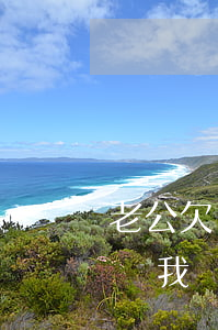 老公欠了40萬(wàn)網(wǎng)貸我該怎么辦-老公欠了40萬(wàn)網(wǎng)貸我該怎么辦呢