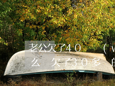 老公欠了40萬網(wǎng)貸還不上怎么辦(欠了30多萬的網(wǎng)貸老公還能要嗎)