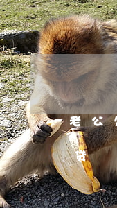 老公欠了二十多万网贷(老公欠了二十多万网贷)