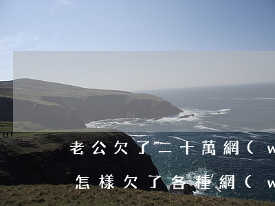 老公欠了二十萬網(wǎng)貸還不上會怎樣(欠了各種網(wǎng)貸二十多萬還不了)