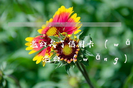 老公欠了信用卡網(wǎng)貸跑了怎么辦(老公網(wǎng)賭欠了信用卡)